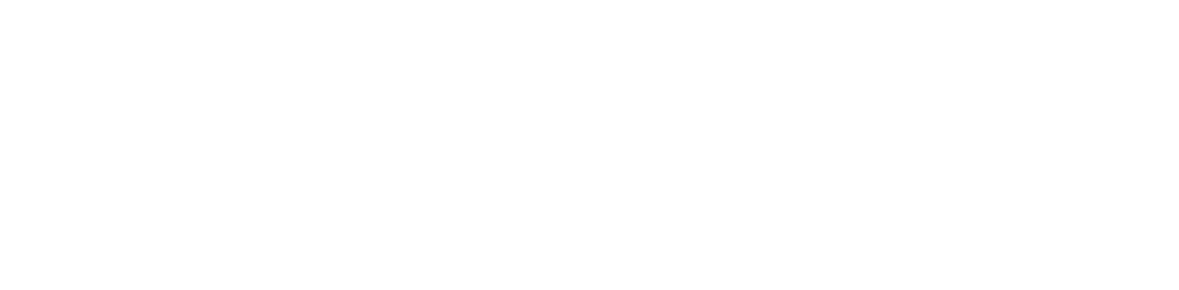 Zurli Logo